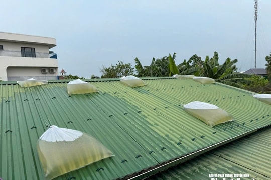 Người đàn ông bị điện giật tử vong khi chằng chống mái tôn phòng bão số 5