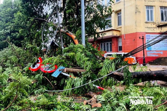 Những thiệt hại đầu tiên khi bão số 5 quét qua Nghệ An
