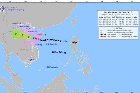 TIN MỚI NHẤT VỀ BÃO SỐ 5 (lúc 06 giờ ngày 25/8): cách Nghệ An khoảng 185km về phía Đông Đông Nam