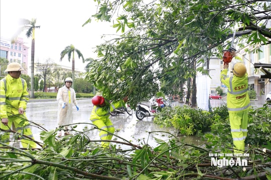 Cảnh sát giao thông Nghệ An kịp thời xử lý cây gãy đổ, đảm bảo an toàn giao thông sau bão số 5
