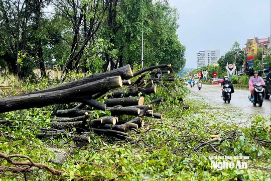 Nghệ An: Tập trung thu dọn rác, vệ sinh môi trường sau bão số  5