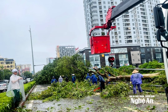 Nghệ An tập trung dọn dẹp cây xanh thông đường