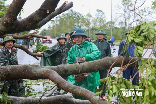 Cửa Lò huy động các lực lượng vào cuộc khắc phục hậu quả sau bão số 5