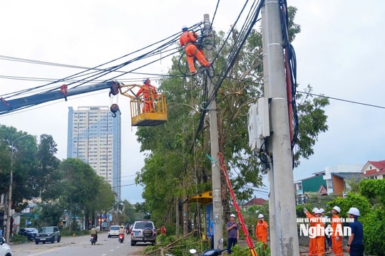 Công ty Điện lực Nghệ An căng mình khắc phục sự cố sau bão số 5, quyết tâm cấp điện trở lại sớm nhất để phục vụ người dân