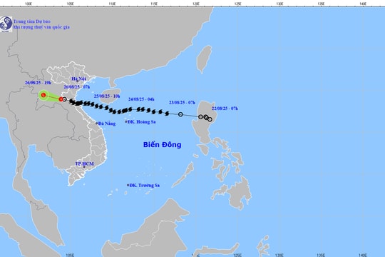 TIN CUỐI CÙNG VỀ CƠN BÃO SỐ 5