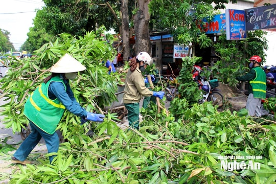 Lực lượng chức năng làm việc liên tục, thu gom lượng rác khổng lồ sau bão số 5