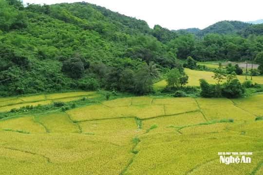 Thời tiết Nghệ An ngày 28/8: Có mưa rào và rải rác có dông