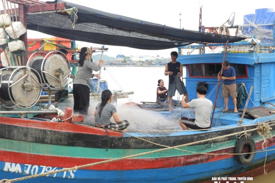 Ngư dân Nghệ An khắc phục khó khăn, ra khơi sau bão