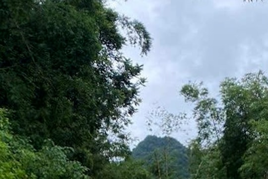 Bé 4 tuổi tử vong với nhiều triệu chứng nghi mắc bệnh dại