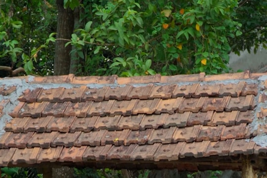 Mất đôi tay sau tai nạn, chàng trai Nghệ An làm video cơm quê hút triệu view