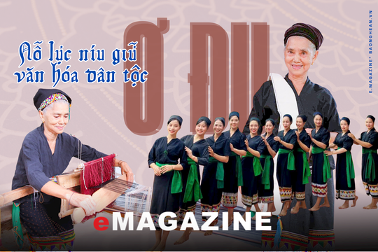 Kỳ 3: Học lại tiếng mẹ đẻ