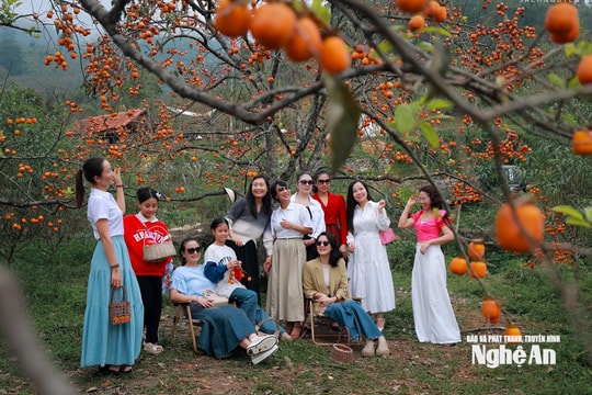 Nghệ An làm gì để 'giữ chân' du khách mùa Thu - Đông?