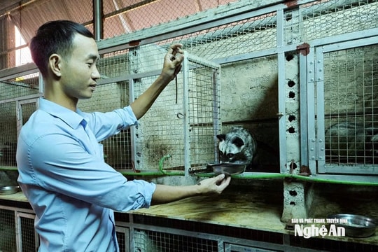 Gần 600 tổ chức, cá nhân nuôi nhốt động vật hoang dã tại Nghệ An được quản lý chặt chẽ