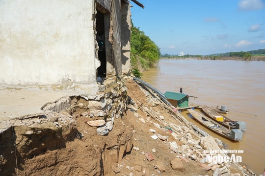 Sau bão, người dân xã Con Cuông bị sông "ăn" vào tận vách nhà