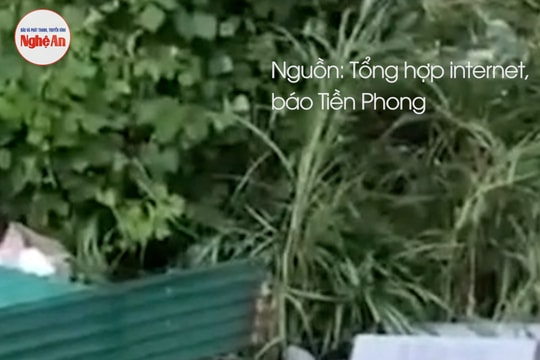 Nghệ An: Sạt lở bờ sông Lam cuốn trôi nhà dân và trạm sạc xe điện