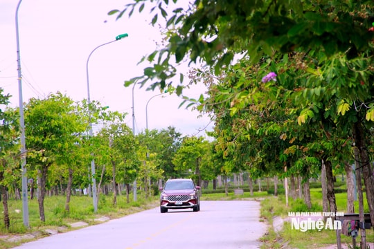 Thời tiết Nghệ An ngày 6/9: Ngày trời nắng, chiều và đêm có mưa rào và dông rải rác