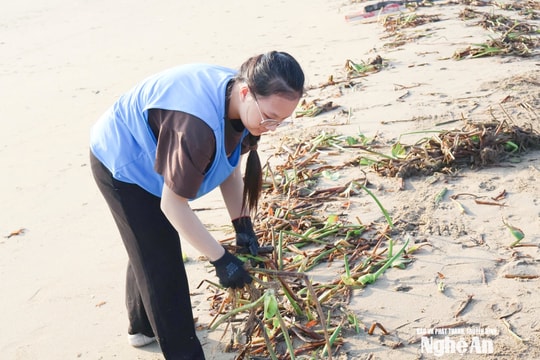 Học sinh Nghệ An chung tay dọn rác, 'chữa lành' bãi biển Cửa Lò sau bão