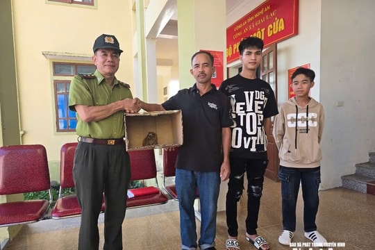 Người dân Nghệ An trao trả cá thể culi quý hiếm cho kiểm lâm Yên Thành