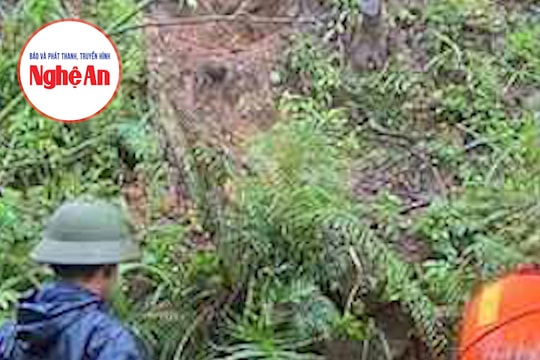 Đi làm rẫy, người phụ nữ tử vong thương tâm dưới suối