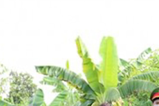 Ngăn chặn vụ tuồn thịt lợn bị nhiễm dịch tả Châu Phi vào chợ dân sinh