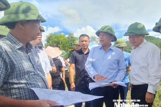 Lãnh đạo tỉnh Nghệ An kiểm tra công tác tái định cư phục vụ Dự án đường sắt tốc độ cao