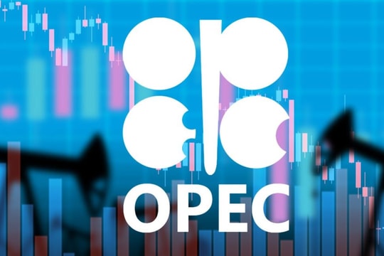 OPEC+ tăng sản lượng dầu từ tháng 10, ưu tiên bảo vệ thị phần