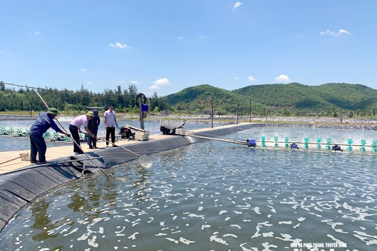 Chú trọng thu hút đầu tư, đưa An Châu phát triển toàn diện