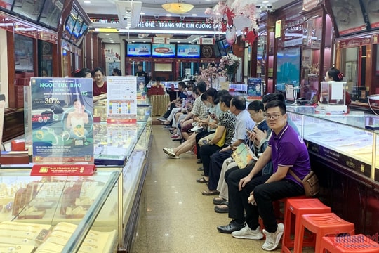 Cập nhật thị trường, giá cả hôm nay 11/9/2025