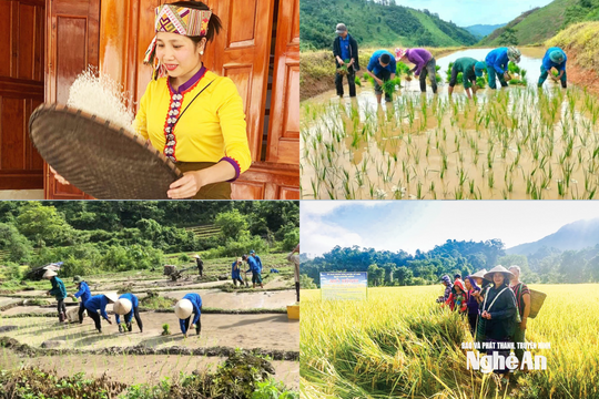 Na Loi: Vùng biên cương xây dựng mục tiêu phát triển bền vững