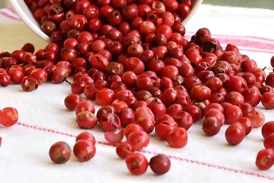 Giá tiêu hôm nay 13/9/2025: Liên tục giảm mạnh