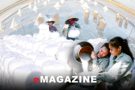 Những diêm dân thế hệ mới