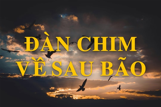 Truyện ngắn: Đàn chim về sau bão