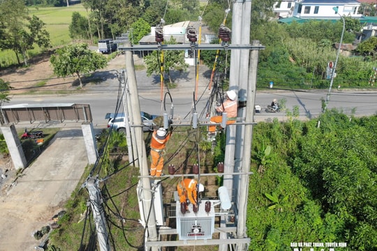 Công ty Điện lực Nghệ An ra quân giải phóng hành lang an toàn lưới điện cao áp, xử lý khiếm khuyết lưới điện