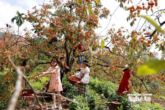 Xây dựng xã Đại Huệ đạt chuẩn nông thôn mới kiểu mẫu về cảnh quan môi trường gắn với phát triển du lịch