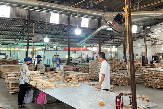 Hội thảo bàn giải pháp nâng cao chất lượng, hiệu quả chế biến gỗ và lâm sản giai đoạn 2025–2030