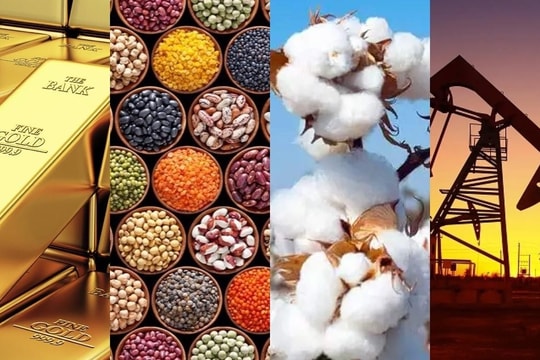 Tin tức thị trường, giá cả hàng hóa hôm nay 18/9/2025