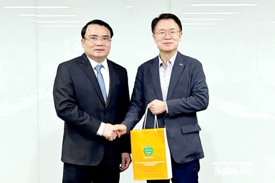 Lãnh đạo tỉnh Nghệ An làm việc với Liên đoàn các doanh nghiệp nhỏ và vừa Hàn Quốc