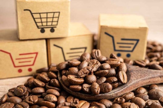 Giá cà phê hôm nay 19/9/2025: Tiếp tục giảm mạnh