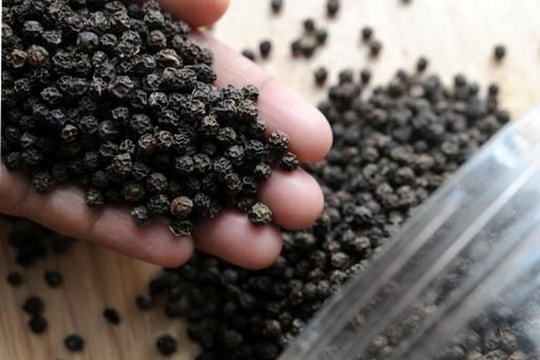 Giá tiêu hôm nay 19/9/2025: Xuất khẩu tiêu đầu tháng 9 giữ ổn định