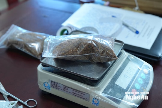 Công an Nghệ An bắt giữ 2 thanh niên mua bán ma túy dạng “Tobacco”