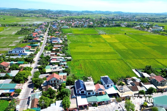 Xã Đông Thành kiến tạo nền tảng, mở hướng tương lai