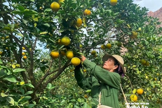 Xã Quang Đồng với khát vọng và quyết tâm mới