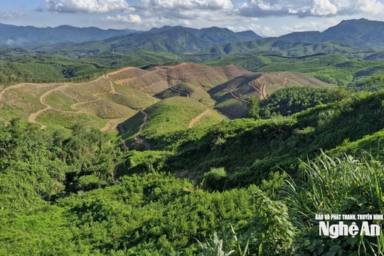 Nghĩ ở 'rốn vàng' Tà Sỏi…