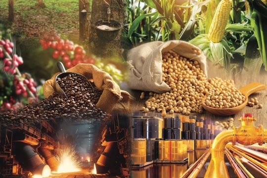 Cập nhật thị trường, giá cả chiều nay 19/9/2025