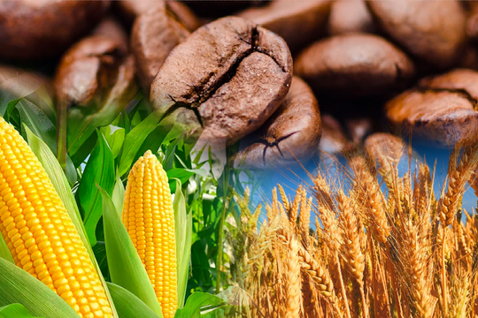 Cập nhật thị trường, giá cả hôm nay 21/9/2025