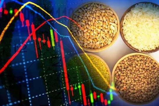 Cập nhật thị trường, giá cả chiều nay 20/9/2025