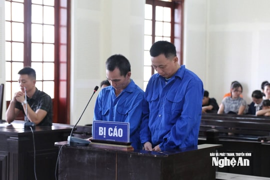 Lừa 'chạy án' chiếm đoạt 1 tỷ đồng, 2 kẻ lừa đảo lĩnh 30 năm tù