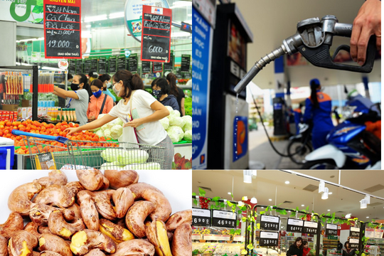 Cập nhật thị trường, giá cả chiều nay 21/9/2025