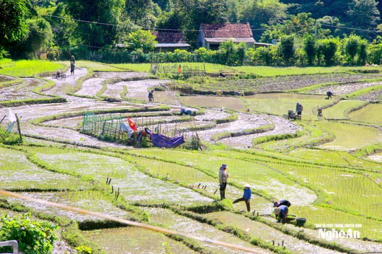 Xã Hữu Kiệm: Kiên trì 3 khâu đổi mới phát triển kinh tế - xã hội gắn thích ứng với biến đổi khí hậu