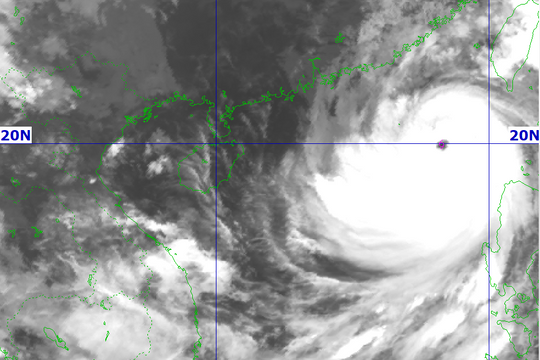 Bão số 9 giật cấp 17 đang tiến vào Biển Đông, từ gần sáng 25/9, vùng ven biển từ Quảng Ninh đến Thanh Hóa có gió mạnh dần lên cấp 6-7